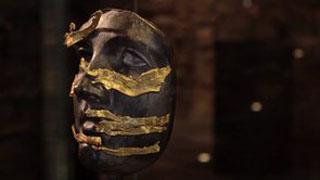 Faces of Vines Concept Video, 2012