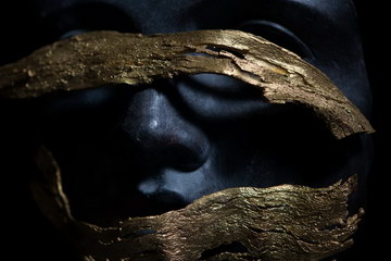 Faces of vines concept, 2012