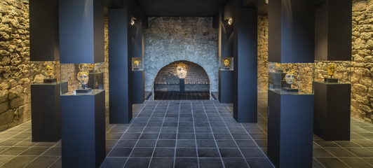 Trilogy of Vines, 2013